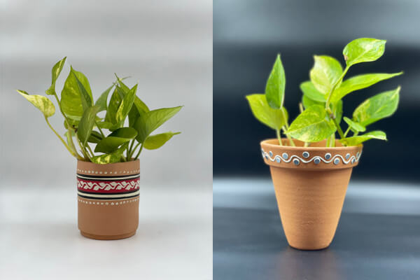 Garden Decor and Planters