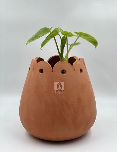 Earthenware Product Image