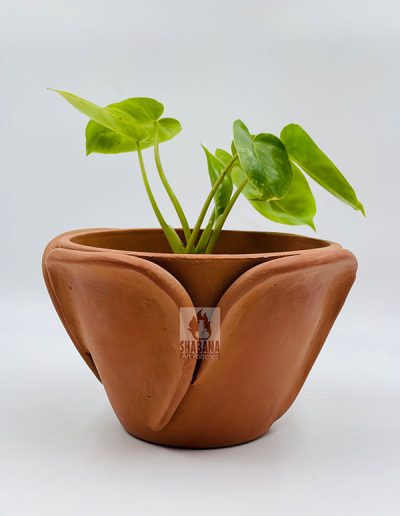 Earthenware Product Image